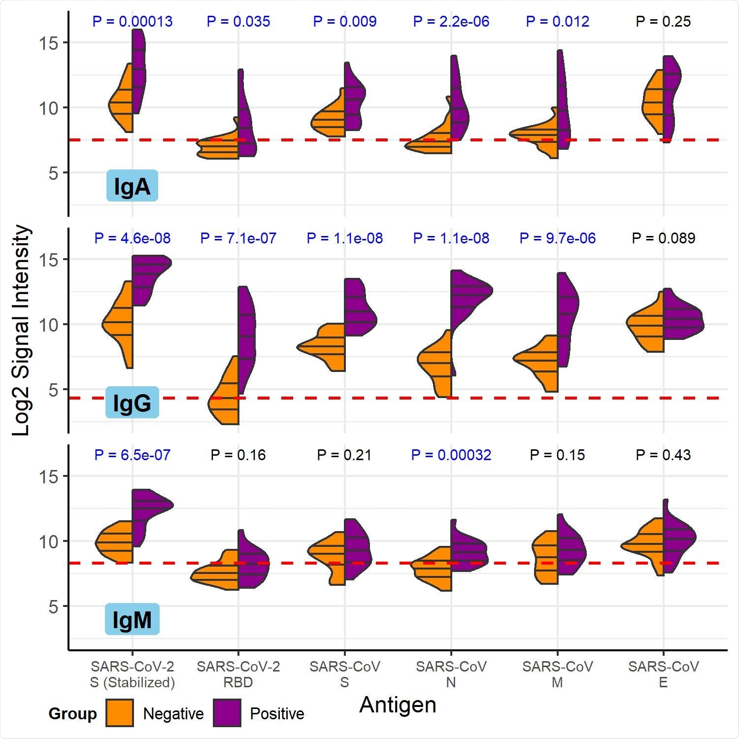 COVID-19 patient and healthy control antibody reactivity with purified SARS-CoV- 2 and SARS-CoV proteins. The split violin plot shows the log2-transformed fluorescence signal intensity distribution of antibodies bound to each purified protein on the multi-coronavirus protein microarray. Within each half-violin are three lines representing the interquartile range and the median. Above each split violin is the Wilcoxon rank sum p value, colored blue for significant p values below 0.05. The three panels are split by isotype (IgG, top; IgA, middle; IgM, bottom). Horizontal red dashed lines are drawn at the median of all signal intensities against purified proteins (n=14) and peptides (n=587) plus 1.0, i.e. double the global median—this threshold serves as a point of reference, but not necessarily a seropositivity cutoff for each protein.