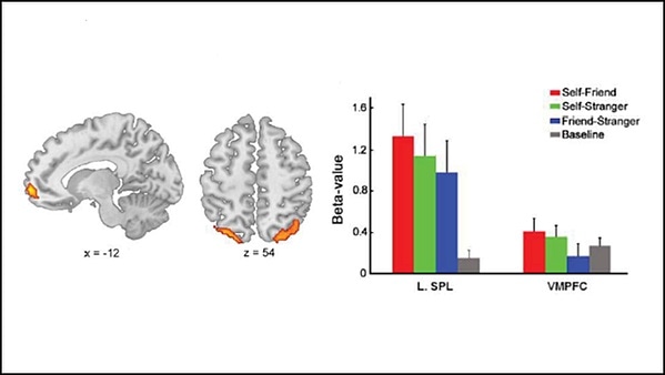 Research pinpoints brain region responsible for self-bias in working memory