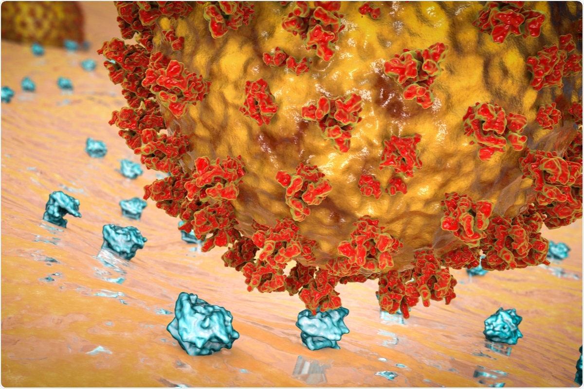 Study:  Computational drug repurposing strategy predicted peptide-based drugs that can potentially inhibit the interaction of SARS-CoV-2 spike protein with its target (humanACE2). Image Credit: Kateryna Kon / Shutterstock