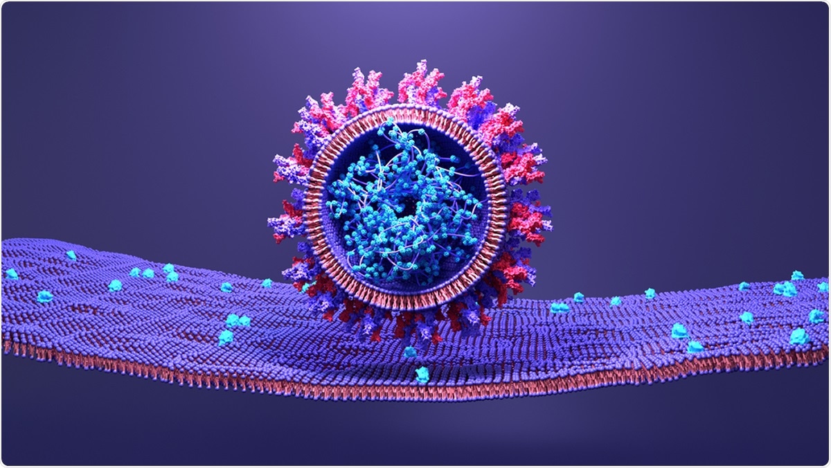 Study: Early analysis of a potential link between viral load and the N501Y mutation in the SARS-COV-2 spike protein. Image Credit: Design_Cells / Shutterstock