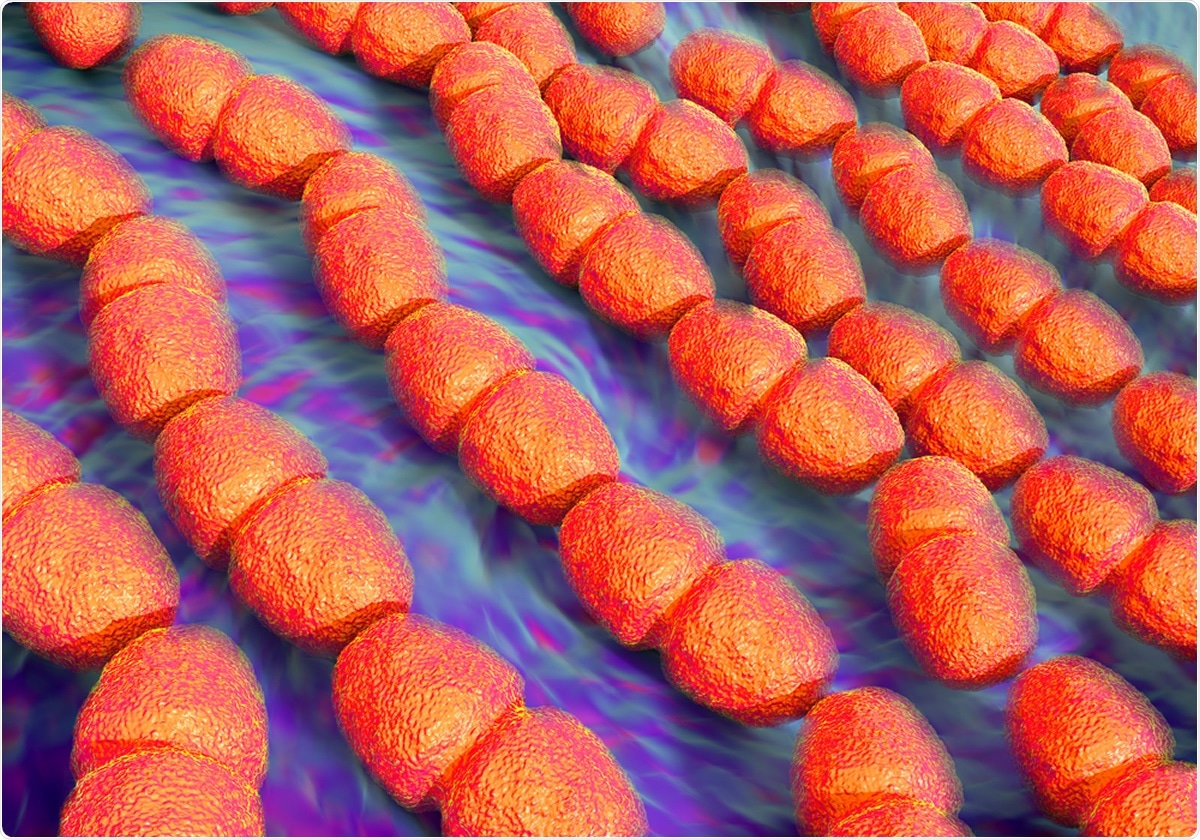 Enterococcus faecalis bacteria known as Streptococcus faecalis. These bacteria are rounded or oval-shaped cocci, seen here typically forming chains of cells. Image Credit: Shutterstock