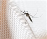 Malaria Prevention