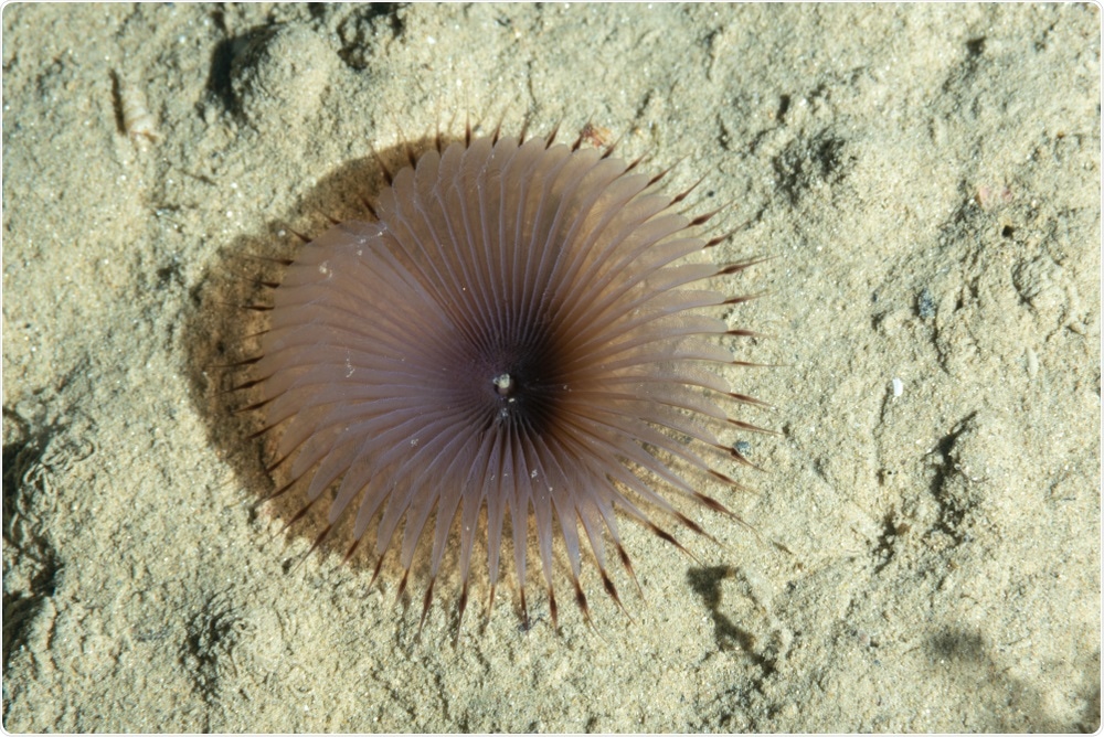 High-performance NMR technology for structural biology and materials research applications