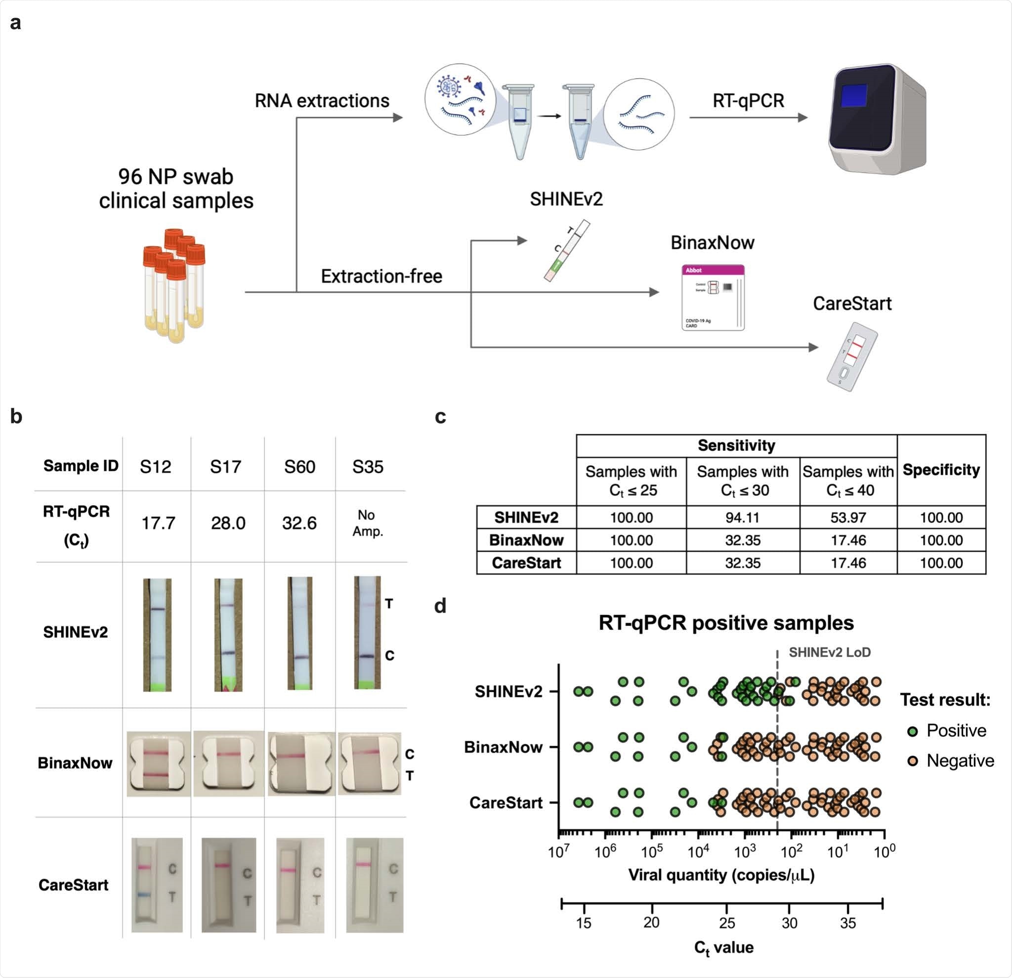 Enhancing the accessibility of SHINEv2. a, SHINE fluorescence of the RNase P SHINEv2 assay on synthetic DNA target after 90 minutes; NTC, no target control. b, Lateral flow based detection of SARS-CoV-2 RNA using SHINEv2 with different polyethylene glycol (i.e. PEG) compositions; with or without dilution after a 90 minute incubation. NTC, no target control. c, Lateral flow based SHINEv2 detection of SARS-CoV-2 RNA after a 90 minute incubation in a heat block or using body heat (underarm incubation). NTC, no target control. d, SHINE fluorescence on SARS-CoV-2 RNA after 90 minutes at 37°C or 25°C; NTC, no target control. For d, center = mean and error bars = s.d. for 3 technical replicates.