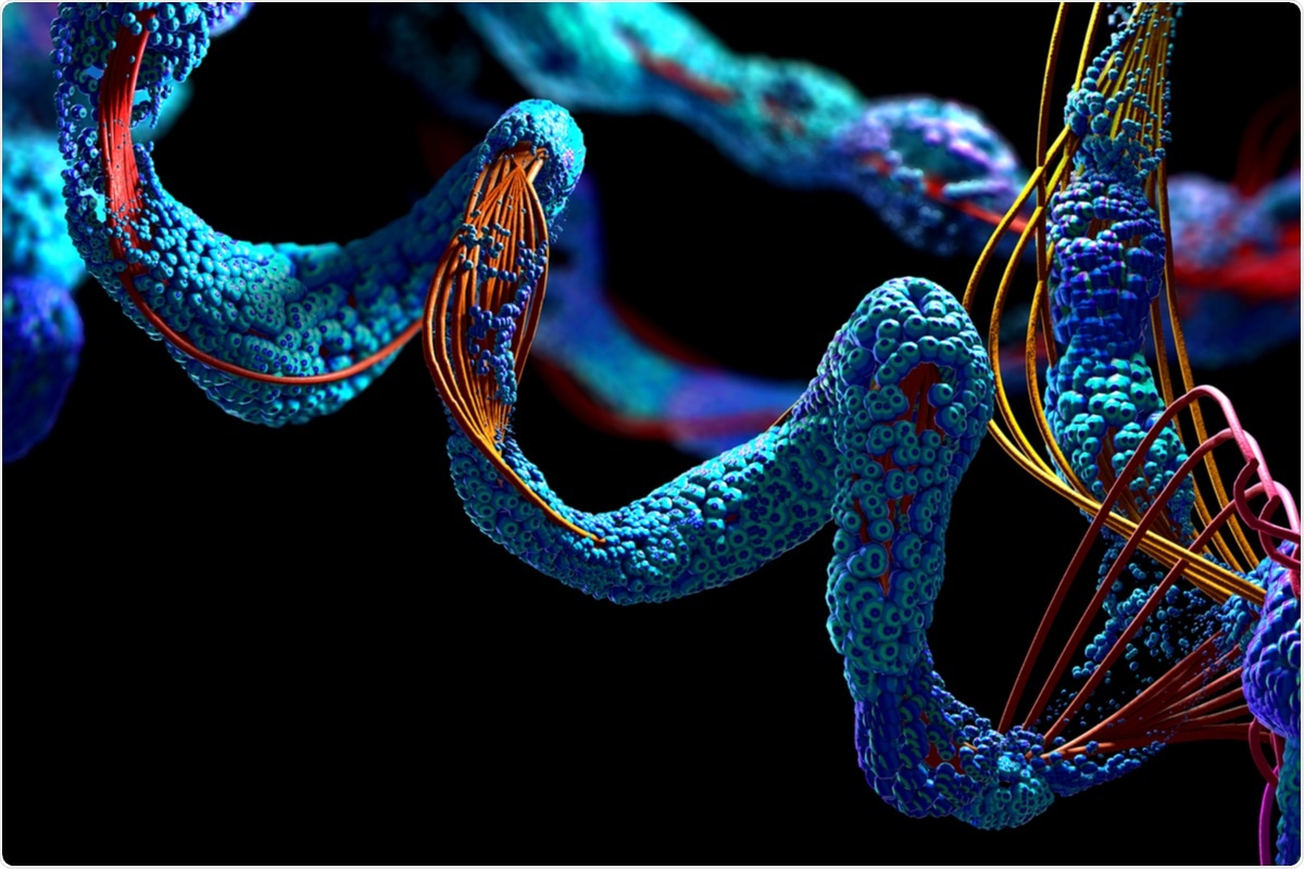 amino acid sequences
