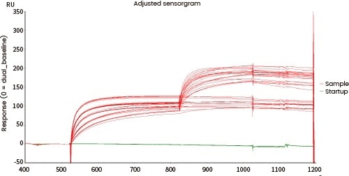 Epitope analysis data (Biacore data)