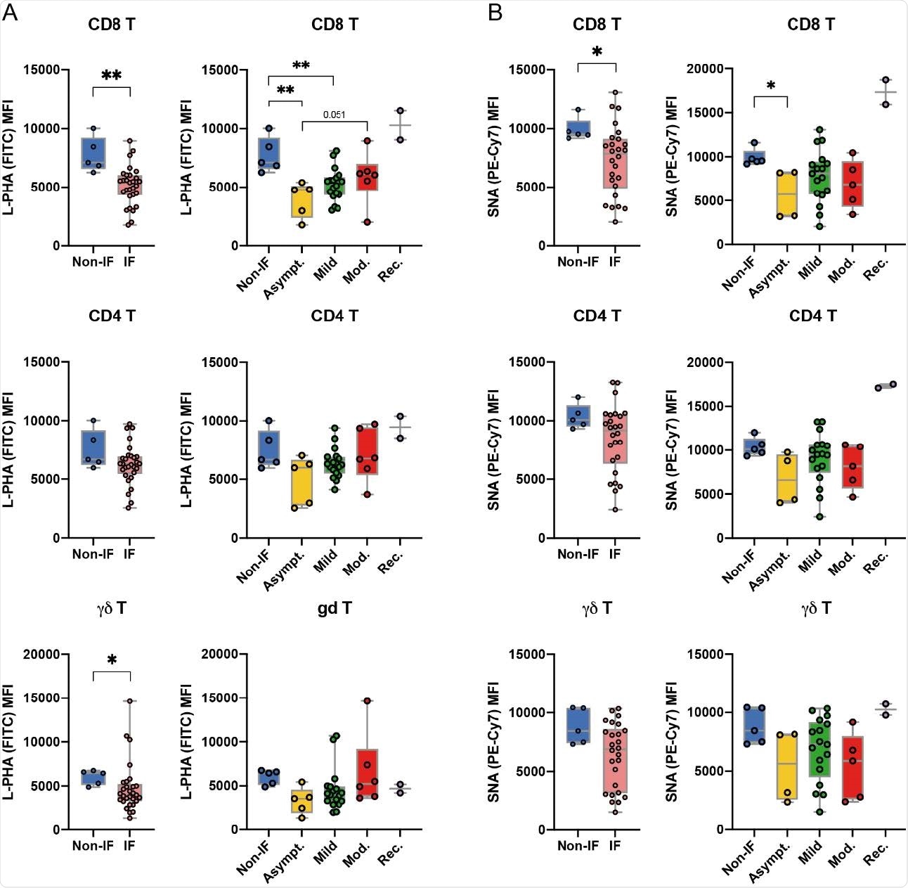 Peripheral T cell glycoprofile is altered upon SARS-CoV-2 infection at diagnosis. Levels (Mean intensity fluorescence, MFI) of (A) L-PHA lectin binding, detecting β1,6-GlcNAc branched N-glycans and (B) SNA lectin binding, detecting a-2,6 sialylation, in CD8+ , CD4+ and γδ T cell subsets of non-infected donors (Non-IF;