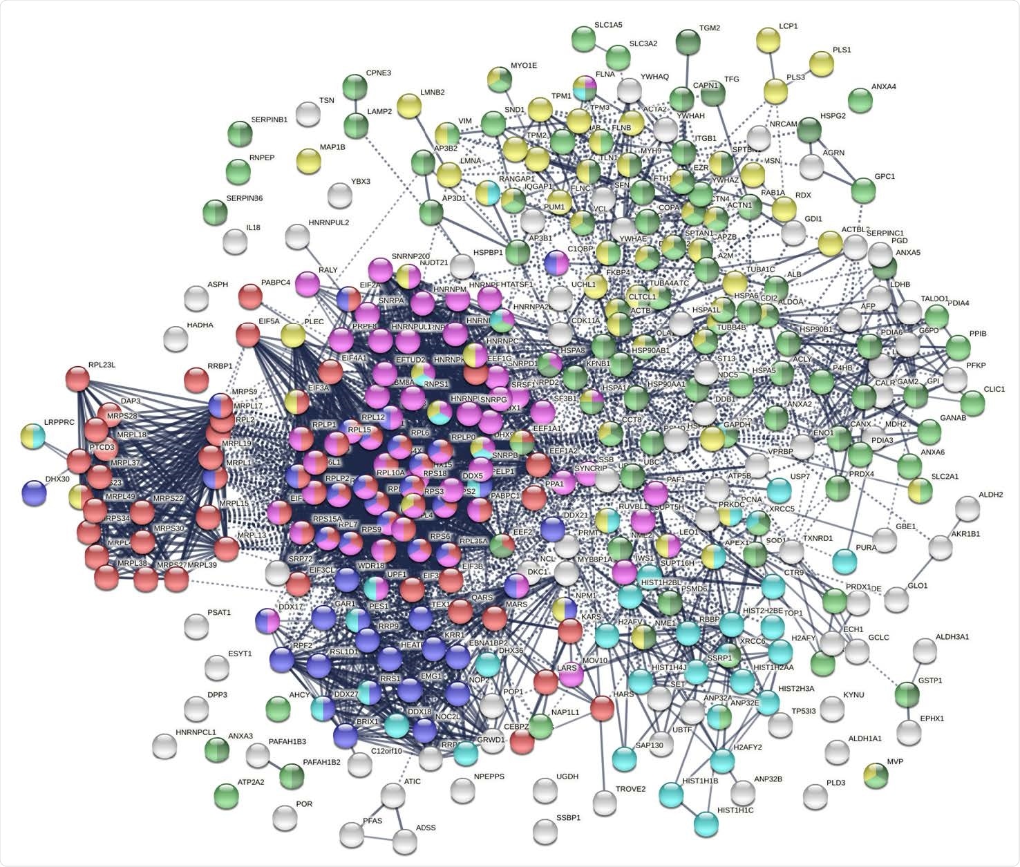 The autoantigenome from A549 cells identified by DS affinity. Marked proteins are associated with translation (69 proteins, red), mRNA metabolic processing (69 proteins, pink), ribosome biogenesis (43 proteins, blue), vesicle (87 proteins, green) and vesicle-mediated transport (72 proteins, dark green), chromosomes (40 proteins, aqua), and cytoskeleton (65 proteins, gold).