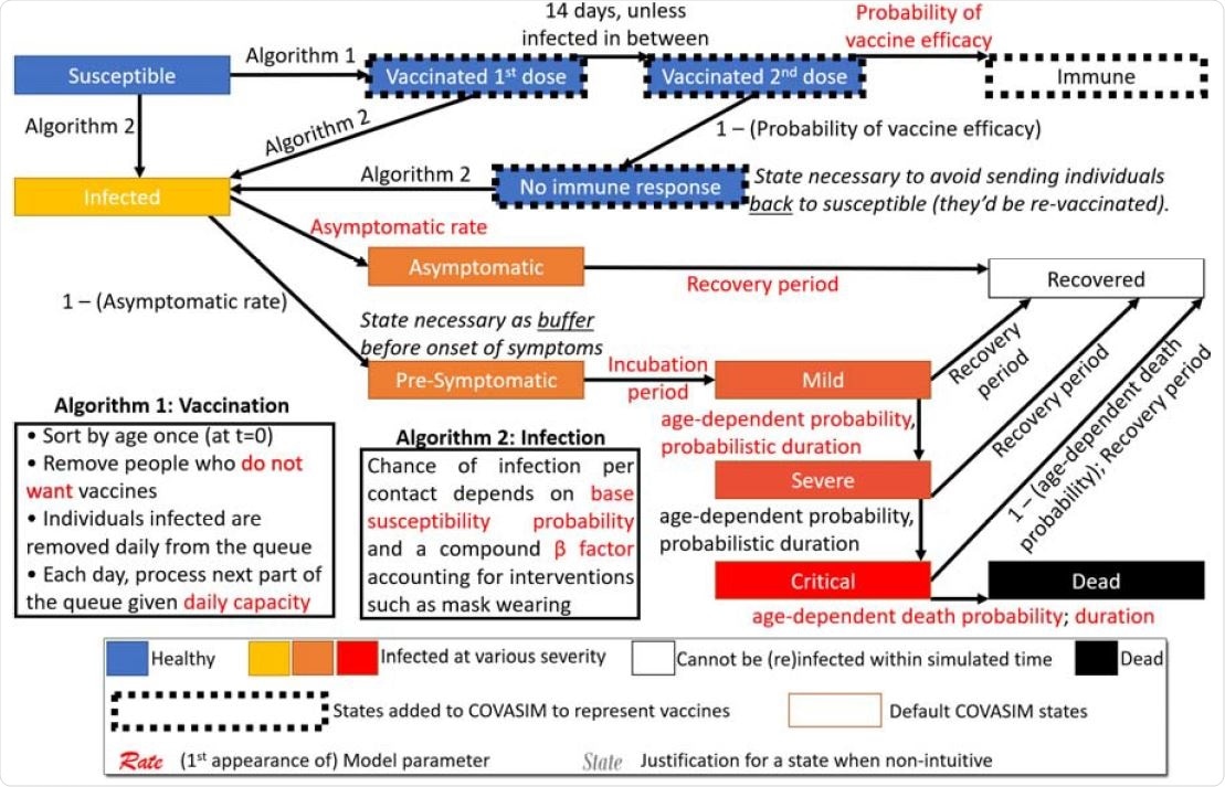 Overview of our modified COVASIM model containing the state diagram and specification of all transitions, including key procedures for vaccination and infection.