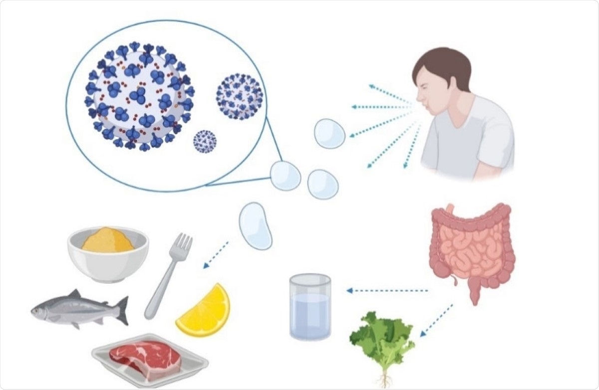 A simplified diagram of the possible transmission of SARS‐CoV‐2 to food or food supplies.