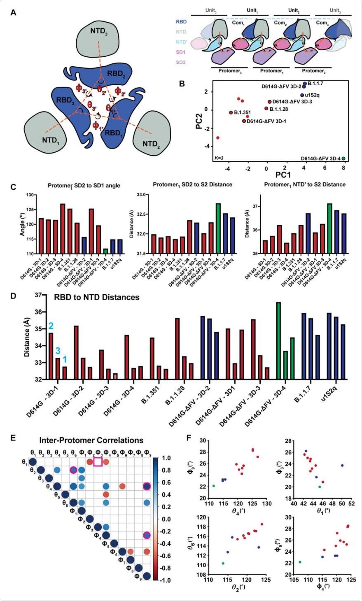 Comparison of inter-protomer network and RBD to RBD vector measures. A. (left) RBD and NTD vectors, angles, and dihedrals. (right) Simplified schematic of the SD2, SD1, NTD