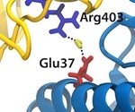 Ai helps identify critical interactions for SARS-CoV-2 spike protein binding to ACE2
