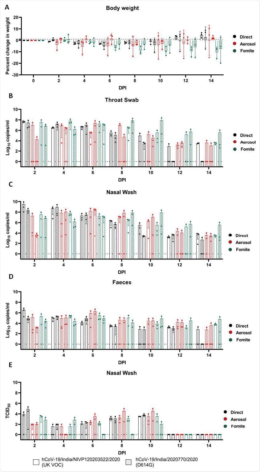 Percent body weight change and SARS-CoV-2 load in the hamsters post exposure. (A)The body weight change in hamsters following exposure with SARSCoV- 2 infected hamsters by direct, aerosol and fomite contact. Viral gRNA load in (B) throat swab (C) nasal wash (D) faeces in hamsters exposed by direct, aerosol and fomite contact. (E)Viral load in nasal wash samples of contact hamsters exposed by direct, aerosol and fomite contact estimated by titration in Vero CCL-81 cells expressed in TCID50.