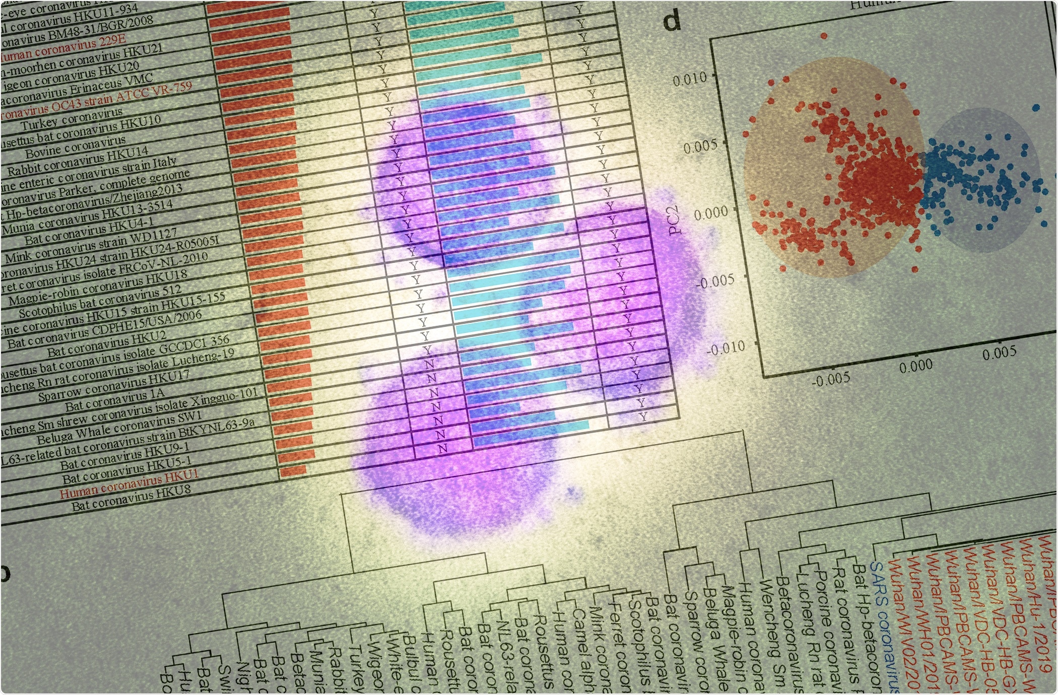 Study: Predicting Hosts Based on Early SARS-CoV-2 Samples and Analyzing Later World-wide Pandemic in 2020