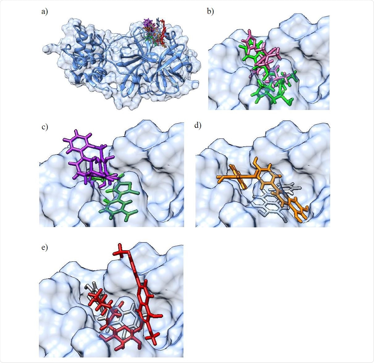 a) Molecular surface representation of the 3CLpro protein with an overlay of all confirmed actives in the binding pocket (top right) in their best scoring docking conformations (only for GC-376 / GC-373 and baicalein, crystal structures of the protein-ligand complex were available and used instead of molecular docking derived conformations). The 3CLpro secondary structure is displayed as a blue ribbon, surrounded by the solvent excluded molecular surface representation in transparent blue, and with the colored ligands shown in a stick representation. b) Larger scale representation of the overlaid pair of ligands with the lowest IC50 values: GC-376 (light green) and M-8524 (pink) in the 3CLpro binding pocket (top right part of figure 3 a); c) overlaid pair of ligands rottlerin (purple) and M-1805 (dark green); d) overlaid pair of ligands amentoflavone (orange) and baicalein (light gray); e) overlaid pair of ligands luteolin (dark gray) and pectolinarin (red).