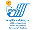 Promega launches XpressAmp™ Direct Amplification Reagents