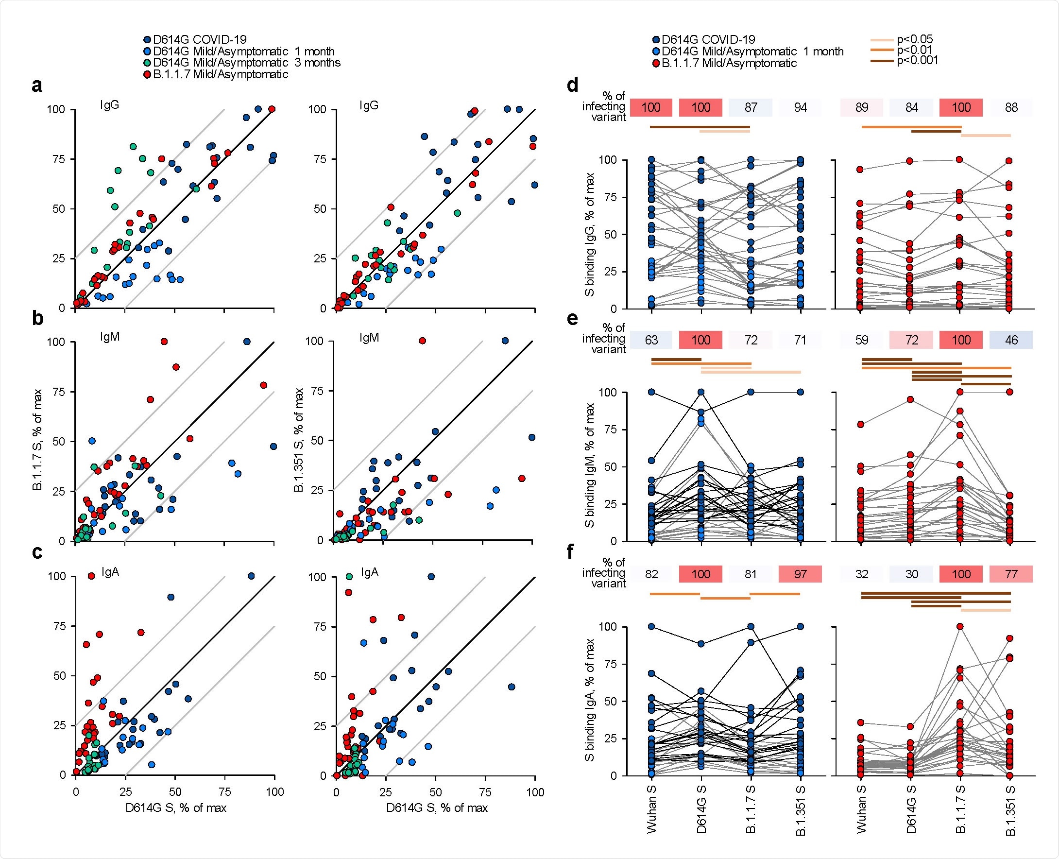 Recognition of distinct SARS‐CoV‐2 spike glycoproteins by antibodies in D614G and B.1.1.7  sera. a‐c, Correlation of IgG (a), IgM (b) and IgA (c) antibody levels to D614G and B.1.1.7 or B.1.351  spikes in the indicated groups of donors infected either with the D614G or B.1.1.7 strains. Each symbol  represents an individual sample and levels are expressed as a percentage of the positive control. Black  lines denote complete correlation and grey lines a 25% change in either direction. d‐f, Comparison of  IgG (d), IgM (e) and IgA (f) antibody levels to the indicated spikes in groups of donors acutely infected  either with the D614G or B.1.1.7 strains. Connected symbols represents individual donors. Numbers  above the plots denote the average binding to each spike, expressed as a percentage of binding to the  infecting spike.