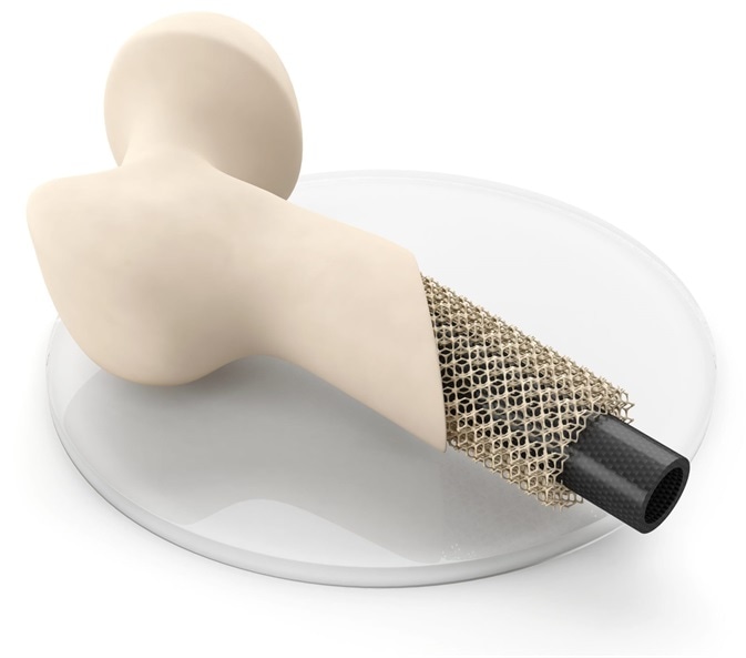 Plasma Treatment of Polymers for Medical Applications