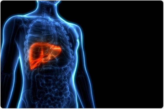 Image Credit: Magic mine / Shutterstock