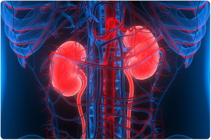 Image Credit: Magic mine / Shutterstock