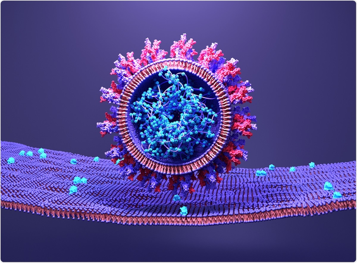 Study: The homology analysis of ACE2 gene and its distinct expression in laboratory and wild animals. Image Credit: Design_Cells / Shutterstock