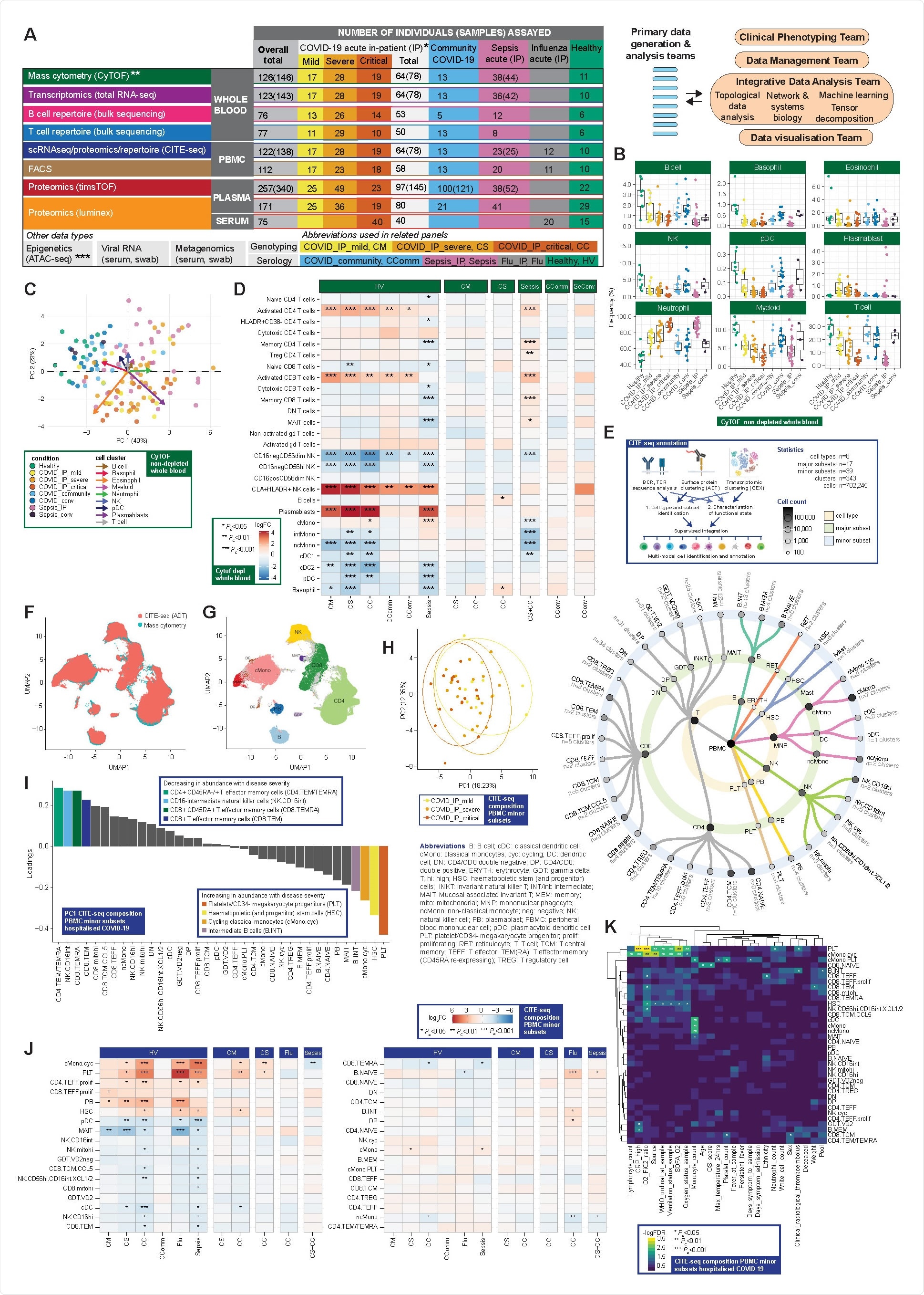 Complementary single cell compositional approaches reveal variance in specific cell populations by clinical group and severity (A) Study design, assay modalities and workflow. Table shows number of patients assayed, with number of samples in brackets where more than one sample assayed. *WHO severity categories show number of patients at time of sampling **single paired convalescent sample assayed for