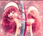 Chronic Kidney Disease Diagnosis