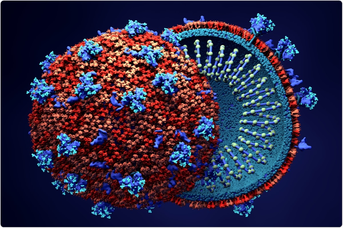 Study: SARS-CoV-2 Nsp14 activates NF-κB signaling and induces IL-8 upregulation. Image Credit: Design_Cells / Shutterstock