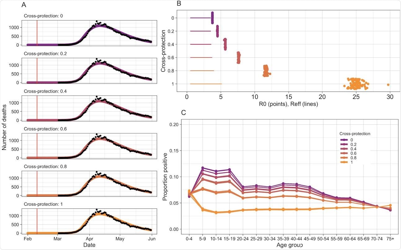 SARS-CoV-2 simulations A ) Fitted epidemic trajectories to d daily S ARS-CoV-2 deaths in 2020 in England and Wales. Each facet is a different strength of cross-protection and contains output from 1 00 simulations. The red line indicates the fixed date when SARS-CoV-2 i introduction starts. B) Estimated R 0 values for S ARS-CoV-2 with different strengths of cross-protection. P points display the R 0, C19 and lines show the range of R eff, C 19 d uring t he s imulation. C ) simulated age-specific serology rates for SARS-CoV-2 by the end of May 2 020.