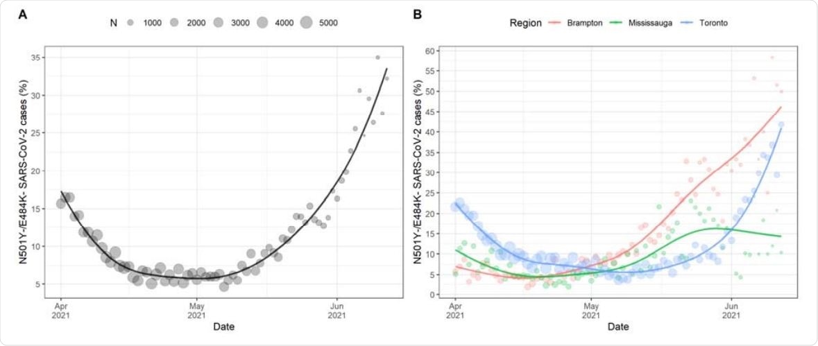 Proportion of SARS-CoV-2 cases with the N501Y-/E484K- mutation profile in Ontario (left panel). We observed an inflection from a rapid decrease in the proportion of N501Y-/E484K- lineages to a rapid increase on April 28. At the end of the study period on June 12th, N501Y-/E484K- profile cases represented 34% of SARS-CoV2 cases in Ontario. SARS-CoV-2 cases in the municipality of Brampton (Figure 2B) experienced this change first (April 17) followed by Mississauga (April 24) and then Toronto (May 7).