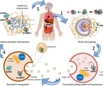 Researchers uncover molecular mechanism linking Parkinson’s disease with COVID-19