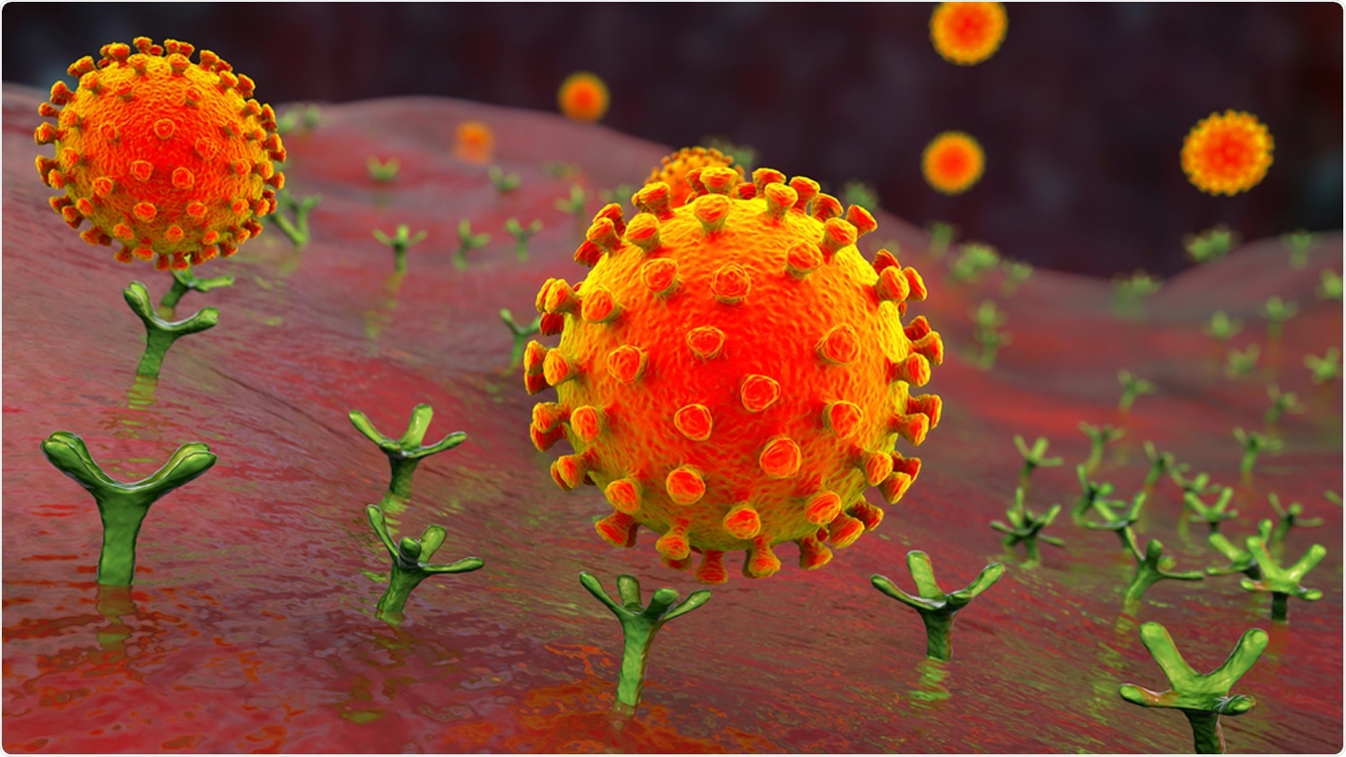 Study: DNA damage response at telomeres boosts the transcription of SARS-CoV-2 receptor ACE2 during aging. Image Credit: Kateryna Kon / Shutterstock