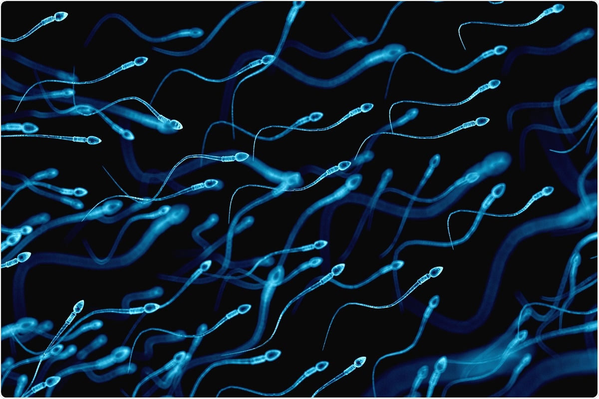 Study: Semen quality as a potential susceptibility indicator to SARS-CoV-2 insults in polluted areas. Image Credit: SciePro / Shutterstock