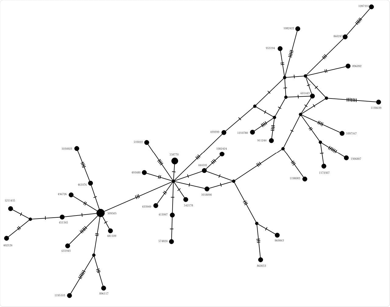Network analysis with the PopART program. Note the reference genome sequence (EPI_ISL_402124) at one end of the network while the VOC202012/01 variant sequence (EPI_ISL_601443) at the other end of the network with possible recombinant origin.