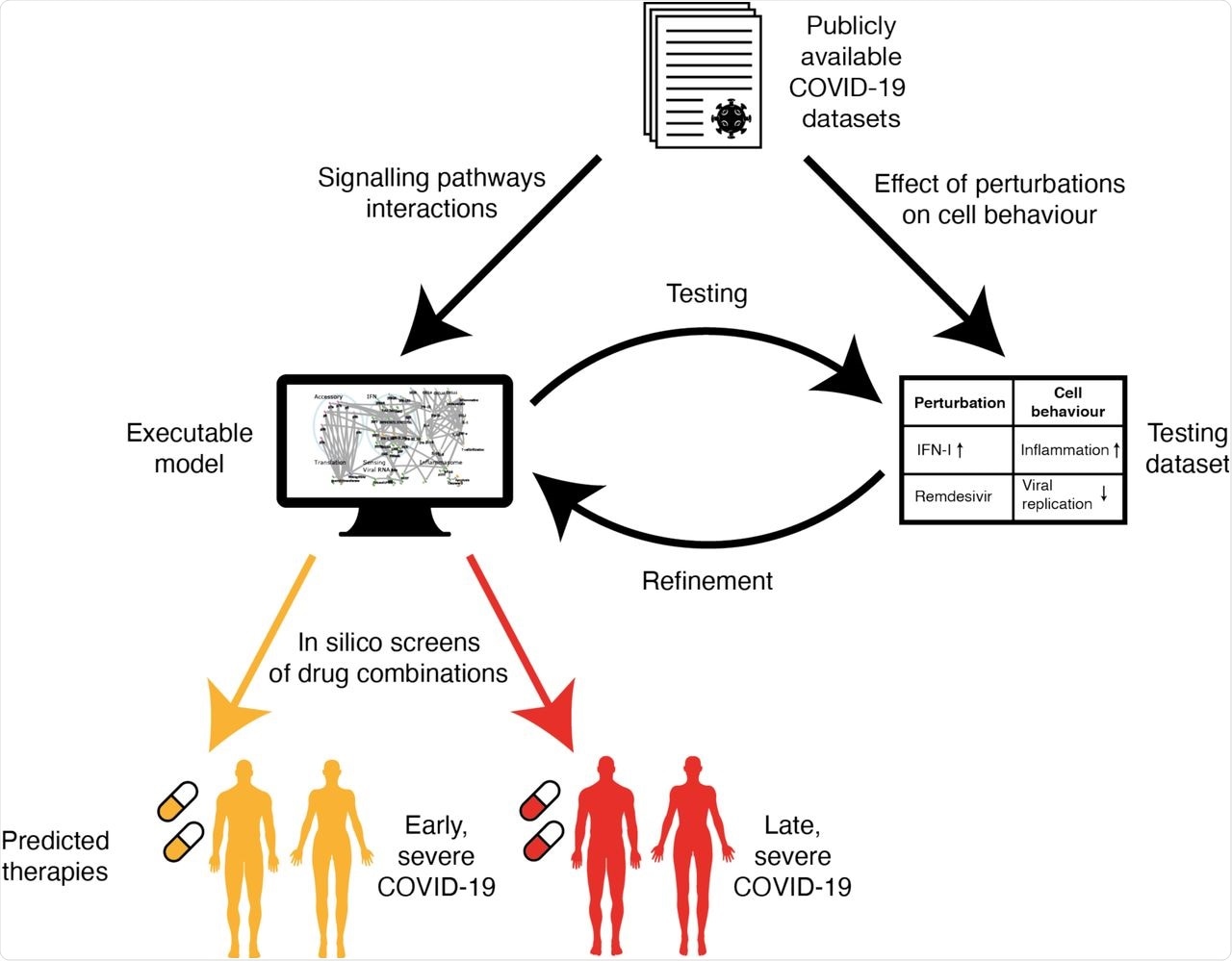 Schematic workflow of SARS-CoV-2 infection modelling. Publicly available COVID-19 datasets are collated into two subsets. Data on the point-to-point signalling pathway interactions of the virus with the host cell, and of the host cell in response to infection, are used to build a network model. Data from experiments showing how the overall behaviour of the infected cell changes under perturbations, such as a potential treatment, are used as a testing dataset to validate the model. The readouts of the model are compared to the testing dataset and the model is refined iteratively until it reproduces all the experimentally observed behaviours. We then screen the effects of potential drug treatments, either singly or in combination, on the model, to find the best predicted therapies for early and late stage severe COVID-19.