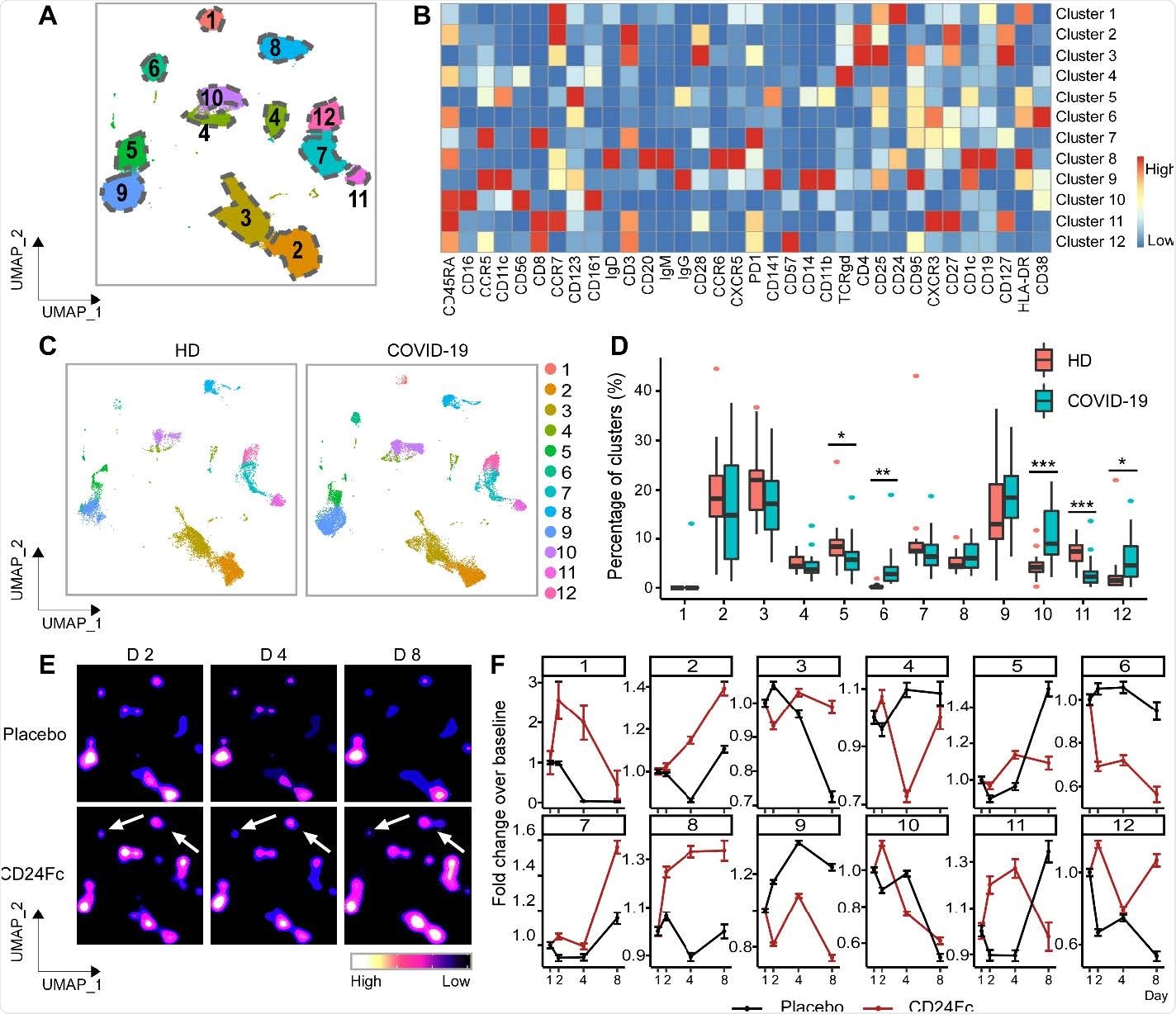 Population dynamics of peripheral blood mononuclear cells from healthy donors vs. patients with COVID-19 treated with placebo or CD24Fc. A total of 1,306,473 PBMCs from HD (n=17) and COVID-19 patients (n=22) were clustered using an unbiased multivariate t-mixture model, which identified 12 sub-clusters that reflect statistically distinct cell states. Visualization of the relative similarity of each cell and cell cluster on the two-dimensional UMAP space with a 10% downsampling (Panel A). Cluster-by-marker heatmap characterizing the expression patterns of individual clusters (Panel B). UMAP dot plots (Panel C) and cluster frequencies (Panel D) of HD vs. baseline COVID-19 patient samples (cluster 5,