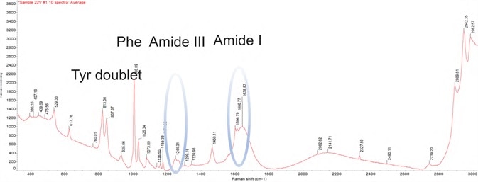 DXR3 SmartRaman spectrum showing characteristic bands of a biologic drug product.