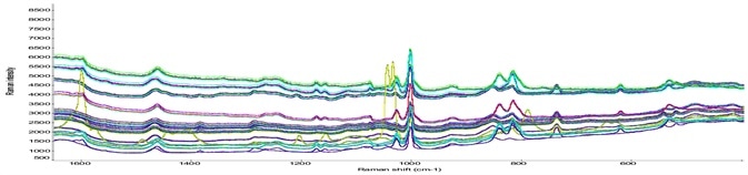 Raman spectra of different classes of drug products.