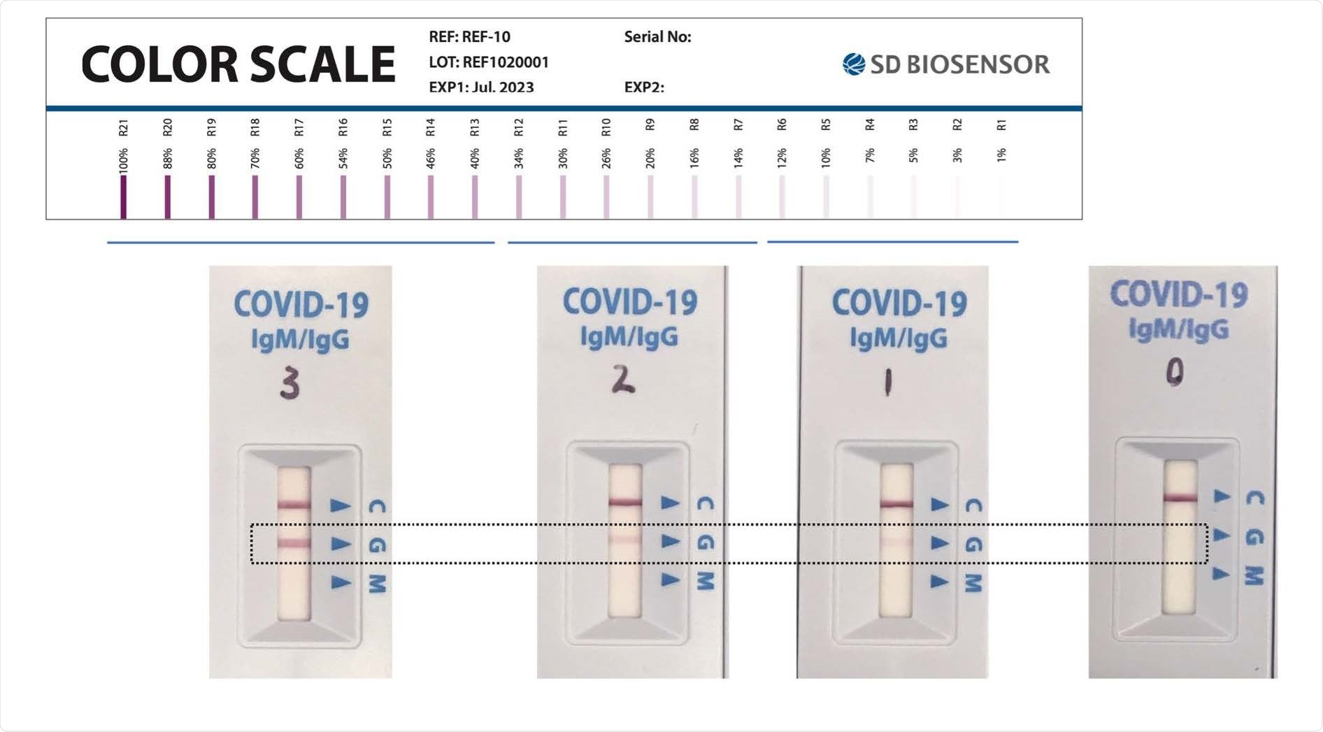 Categorization for SD RDT band intensity, based on a standard colour scale provided by SD Biosensor. A score of 0 indicates no signal; 1 indicates barely visible but present (corresponding to R1-R6 on the standard scale); 2 indicates low intensity (i.e. faint but definitively positive, corresponding to R7-R12 on the standard scale); 3 indicates medium to high intensity (corresponding to R13-R21 on the standard scale). The upper row shows the standard color scale provided by the manufacturer. The lower row shows actual RDTs used in the present study, photographed on the same day under standardized lighting conditions. The illustrative test line is shown in the dashed rectangle.