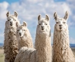 Camelid nanobody anti-SARS-CoV-2 drug candidates