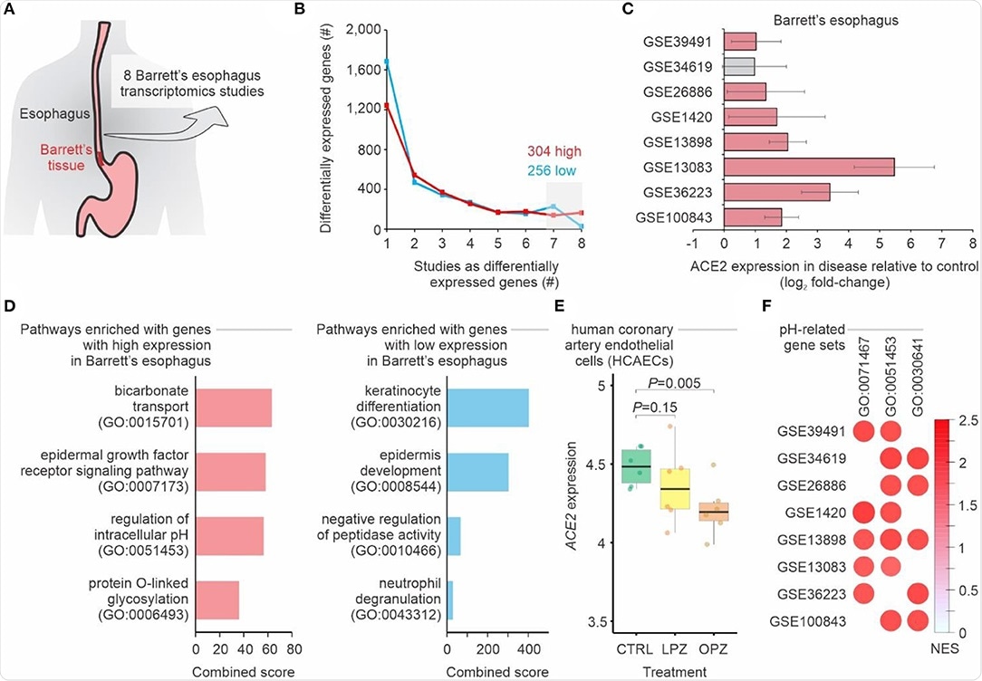 Meta-analysis of gastroesophageal junction transcriptomes of patients with Barrett