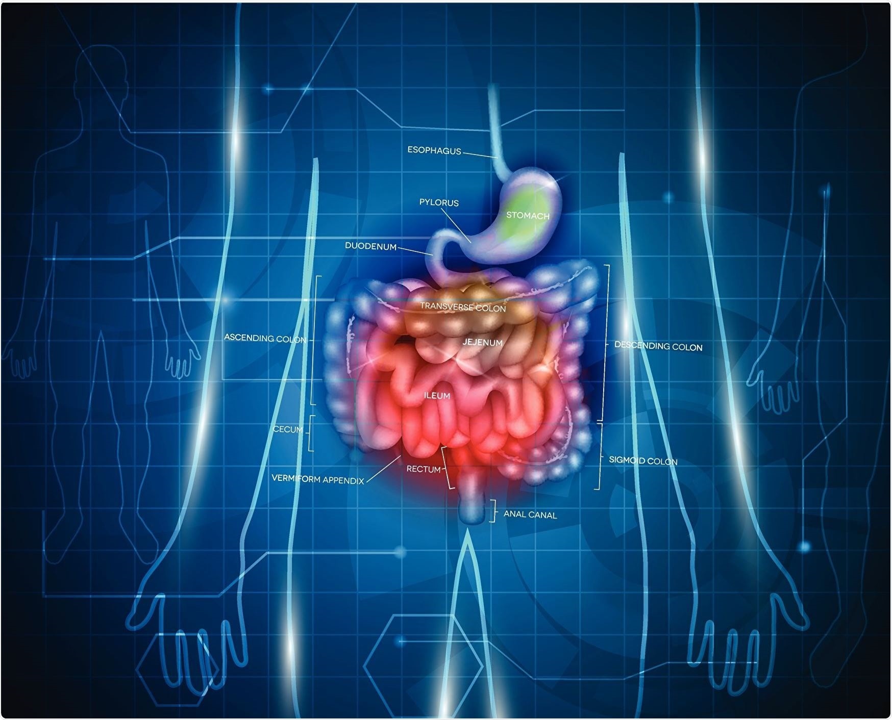 New imaging technique uses photonics for early diagnosis of bowel cancer