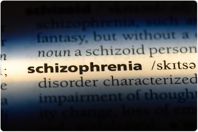 dictionary definition