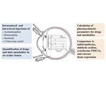 New study offers valuable information on ocular drug metabolism and pharmacokinetics