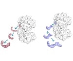 Study provides atomistic level insight into target residence time of small molecule kinase inhibitors