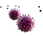 T-cell apoptosis linked to poor prognosis among COVID-19 patients