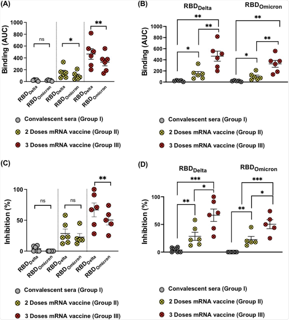 (A-B) Binding of sera from (Group I, II and III) to RBDWT, RBDDelta and RBDOmicron using BLI, depicted as AUC. (C and D) Inhibition of RBDWT, RBDDelta and RBDOmicron binding to the human receptor ACE2 by 1:80 sera dilution, sera from the three different groups were used in this assay. Statistical analysis by Student’s t-test, (Paired in A and C) and (Unpaired in B and D).