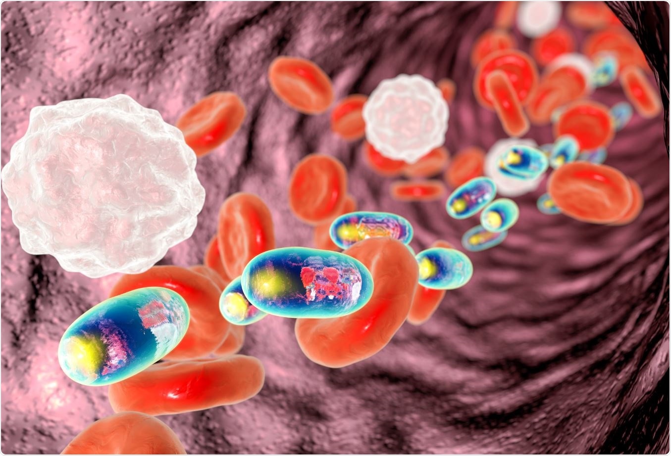 New approach to send ‘friendly’ nano-particles into the body shows promising results