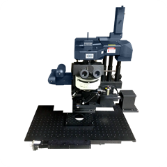6-NeuraLight 3D image