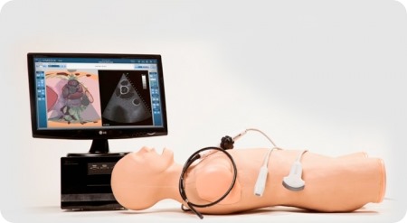 CAE_vimedix_450_247_s_c1